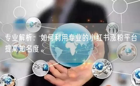 专业解析：如何利用专业的小红书涨粉平台提高知名度。