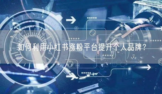 如何利用小红书涨粉平台提升个人品牌？