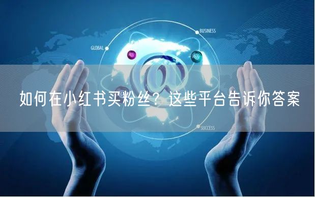 如何在小红书买粉丝？这些平台告诉你答案