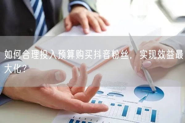 如何合理投入预算购买抖音粉丝，实现效益最大化？