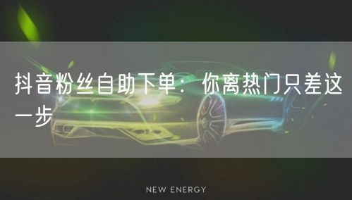 抖音粉丝自助下单：你离热门只差这一步