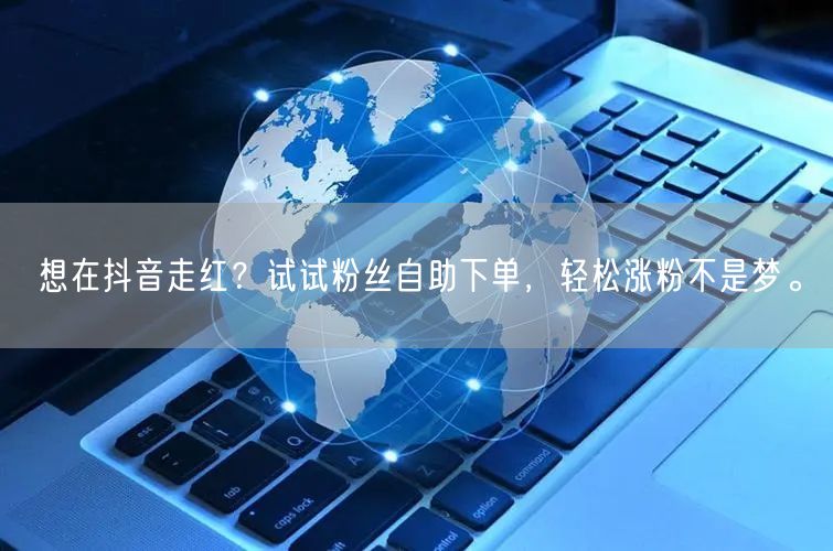 想在抖音走红？试试粉丝自助下单，轻松涨粉不是梦。
