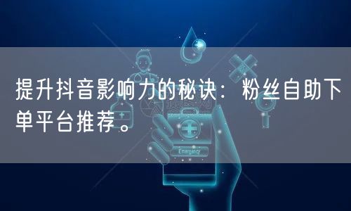 提升抖音影响力的秘诀：粉丝自助下单平台推荐。