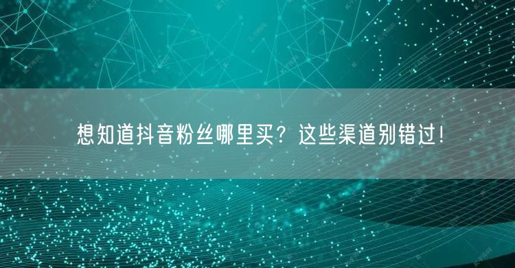 想知道抖音粉丝哪里买？这些渠道别错过！