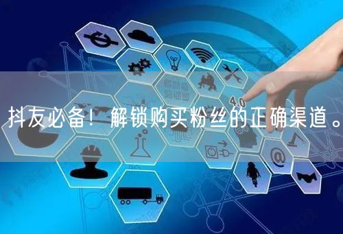抖友必备！解锁购买粉丝的正确渠道。