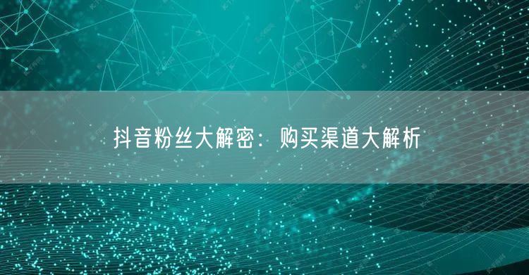 抖音粉丝大解密：购买渠道大解析