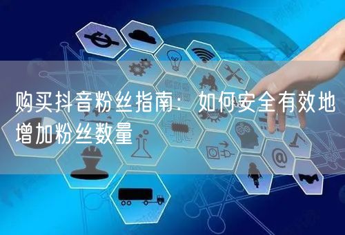 购买抖音粉丝指南：如何安全有效地增加粉丝数量