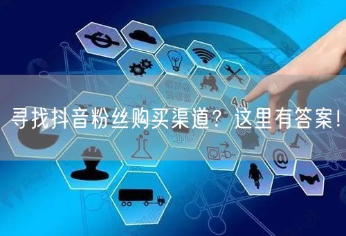 寻找抖音粉丝购买渠道？这里有答案！