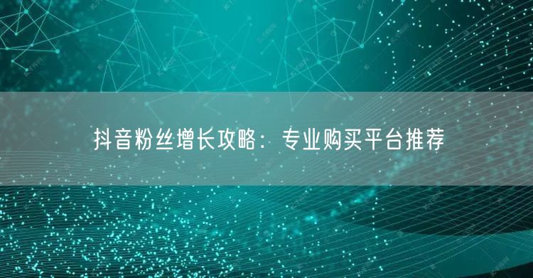 抖音粉丝增长攻略：专业购买平台推荐