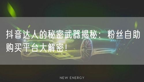 抖音达人的秘密武器揭秘：粉丝自助购买平台大解密！