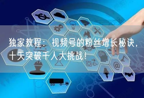 独家教程：视频号的粉丝增长秘诀，十天突破千人大挑战！