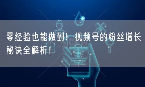 零经验也能做到！视频号的粉丝增长秘诀全解析！