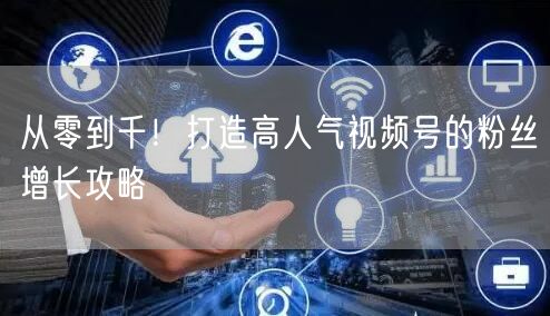 从零到千！打造高人气视频号的粉丝增长攻略