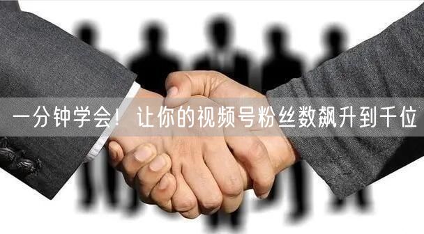 一分钟学会！让你的视频号粉丝数飙升到千位
