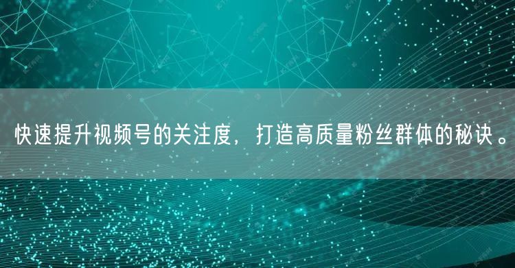 快速提升视频号的关注度，打造高质量粉丝群体的秘诀。