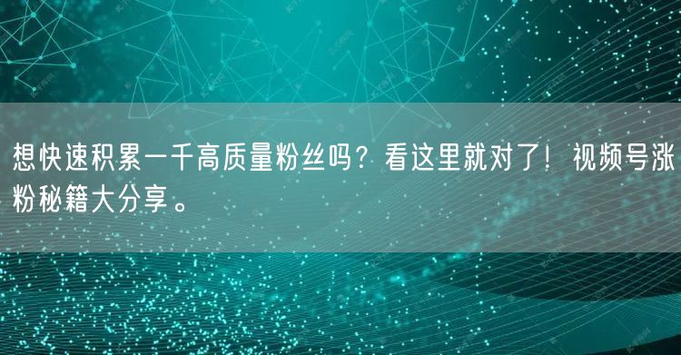 想快速积累一千高质量粉丝吗？看这里就对了！视频号涨粉秘籍大分享。