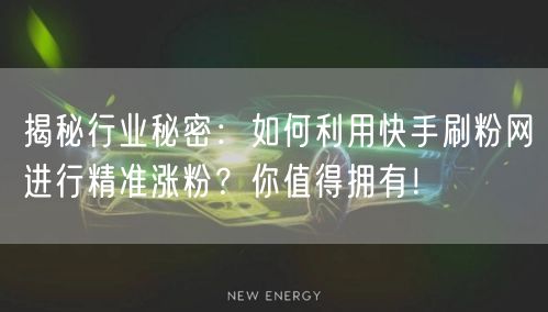 揭秘行业秘密：如何利用快手刷粉网进行精准涨粉？你值得拥有！