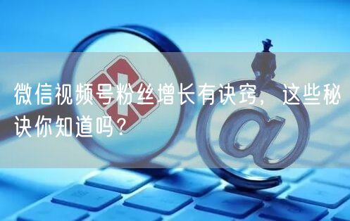 微信视频号粉丝增长有诀窍，这些秘诀你知道吗？