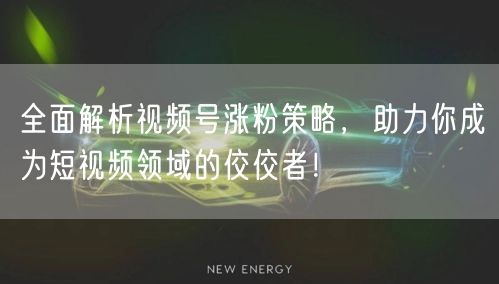 全面解析视频号涨粉策略，助力你成为短视频领域的佼佼者！