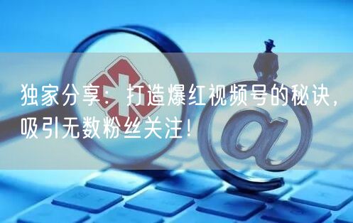 独家分享：打造爆红视频号的秘诀，吸引无数粉丝关注！