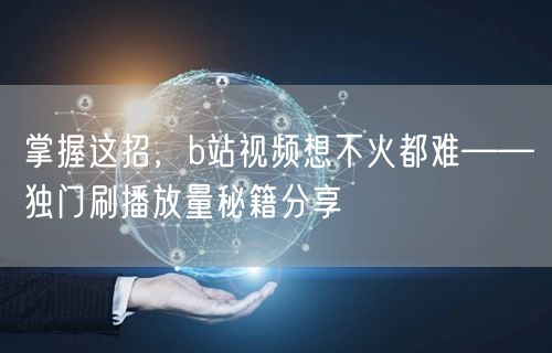 掌握这招，b站视频想不火都难——独门刷播放量秘籍分享
