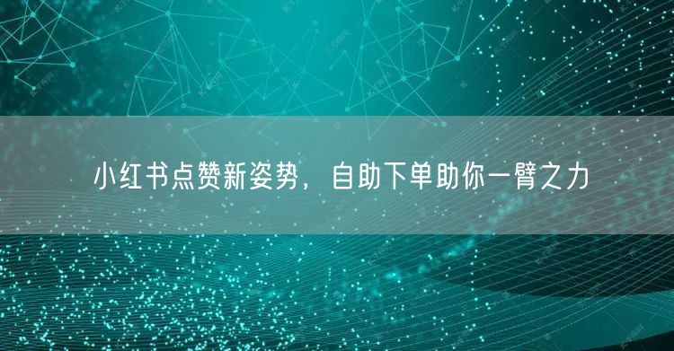 小红书点赞新姿势，自助下单助你一臂之力