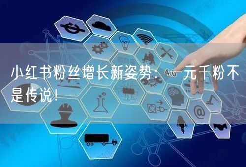 小红书粉丝增长新姿势：一元千粉不是传说！