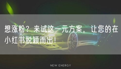 想涨粉？来试这一元方案，让您的在小红书脱颖而出！