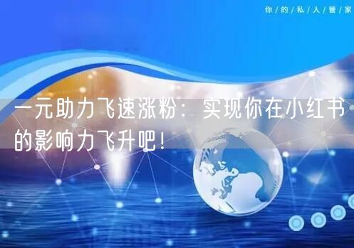 一元助力飞速涨粉：实现你在小红书的影响力飞升吧！