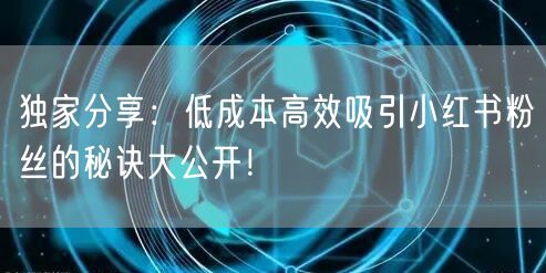 独家分享：低成本高效吸引小红书粉丝的秘诀大公开！