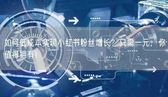 如何低成本实现小红书粉丝增长？只需一元，你值得拥有！