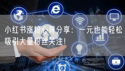 小红书涨粉心得分享：一元也能轻松吸引大量粉丝关注！