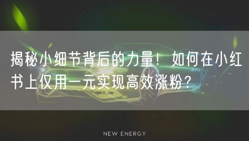 揭秘小细节背后的力量！如何在小红书上仅用一元实现高效涨粉？