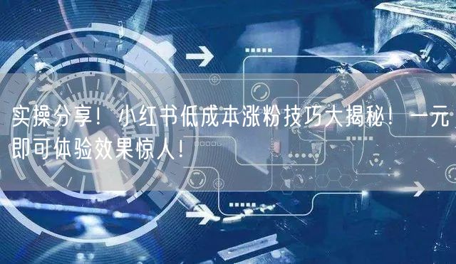 实操分享！小红书低成本涨粉技巧大揭秘！一元即可体验效果惊人！