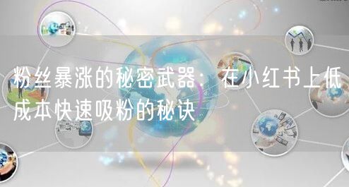 粉丝暴涨的秘密武器：在小红书上低成本快速吸粉的秘诀