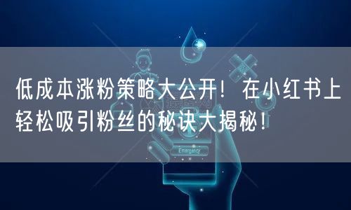 低成本涨粉策略大公开！在小红书上轻松吸引粉丝的秘诀大揭秘！