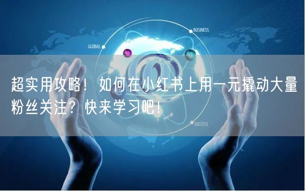 超实用攻略！如何在小红书上用一元撬动大量粉丝关注？快来学习吧！
