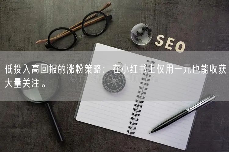 低投入高回报的涨粉策略：在小红书上仅用一元也能收获大量关注。