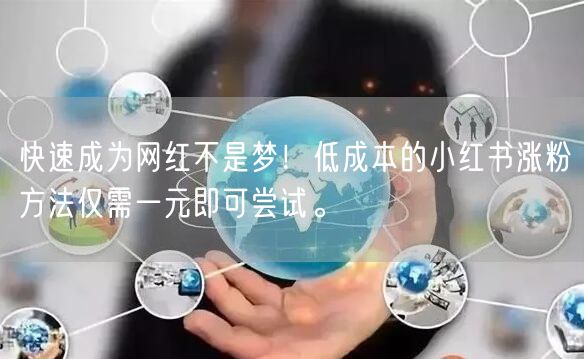 快速成为网红不是梦！低成本的小红书涨粉方法仅需一元即可尝试。