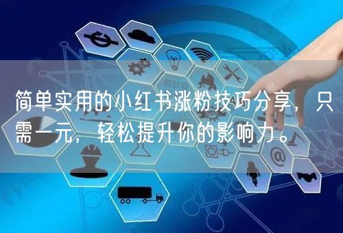 简单实用的小红书涨粉技巧分享，只需一元，轻松提升你的影响力。