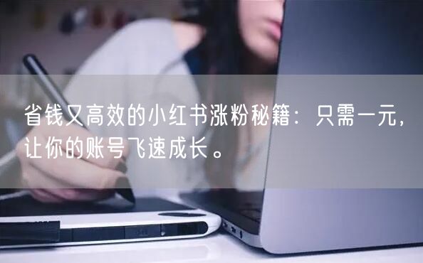 省钱又高效的小红书涨粉秘籍：只需一元，让你的账号飞速成长。