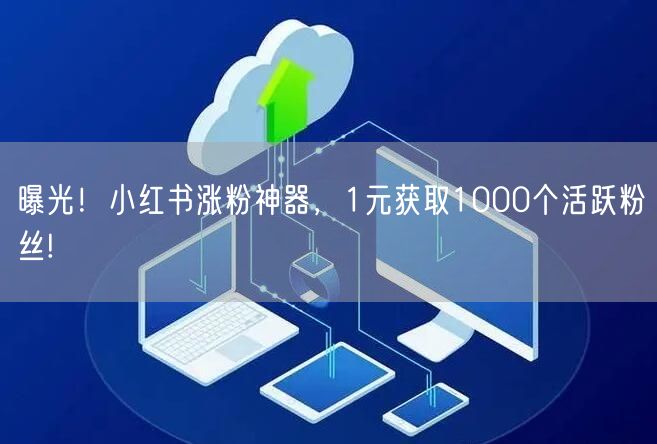 曝光！小红书涨粉神器，1元获取1000个活跃粉丝!