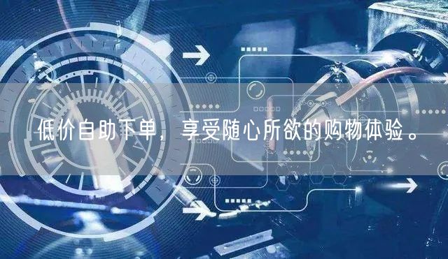 低价自助下单，享受随心所欲的购物体验。
