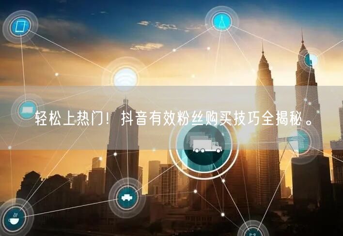 轻松上热门！抖音有效粉丝购买技巧全揭秘。