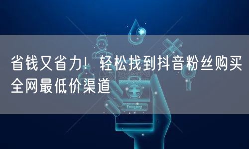 省钱又省力！轻松找到抖音粉丝购买全网最低价渠道