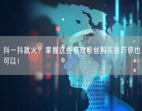 抖一抖就火？掌握这些有效粉丝购买技巧你也可以！