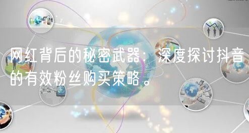 网红背后的秘密武器：深度探讨抖音的有效粉丝购买策略。