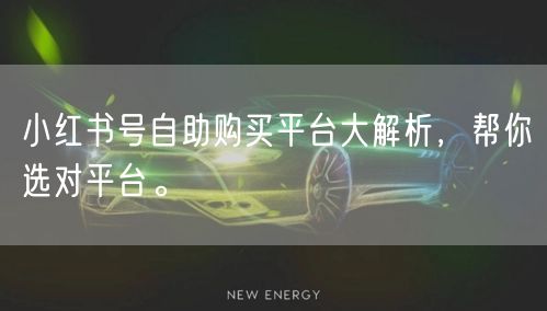 小红书号自助购买平台大解析，帮你选对平台。
