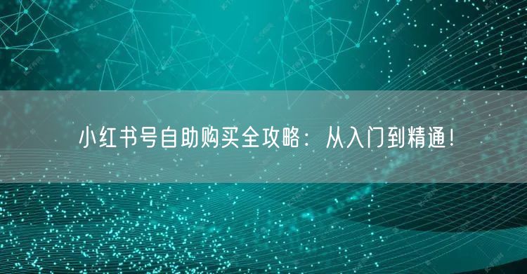 小红书号自助购买全攻略：从入门到精通！